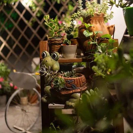 Epohikon Apartment *