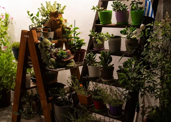 Appartement Epohikon